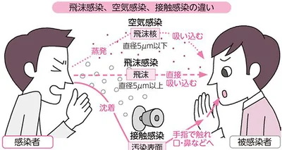 感染経路を知り、適切な対策をとる