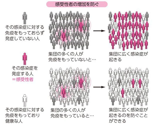 社会における感受性者をワクチン接種で減らすことは、感染症の流行を防ぐことにつながります