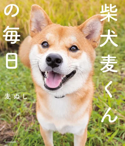 2020年10月に爆誕した柴犬男子……その名は『麦』！『柴犬麦くんの毎日』