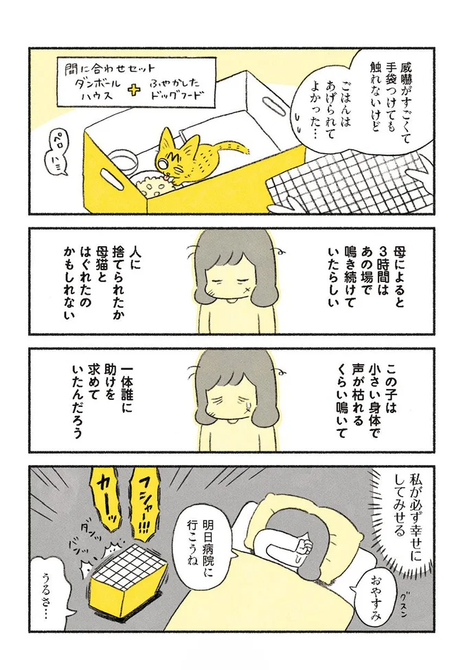 私が必ず幸せにしてみせる…！