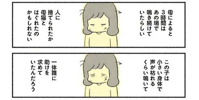 人に捨てられたのか、それとも…