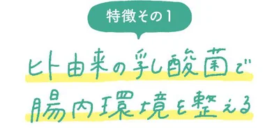 特徴その１  ヒト由来の乳酸菌で腸内環境を整える