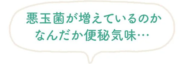  悪玉菌が増えているのかなんだか便秘気味…