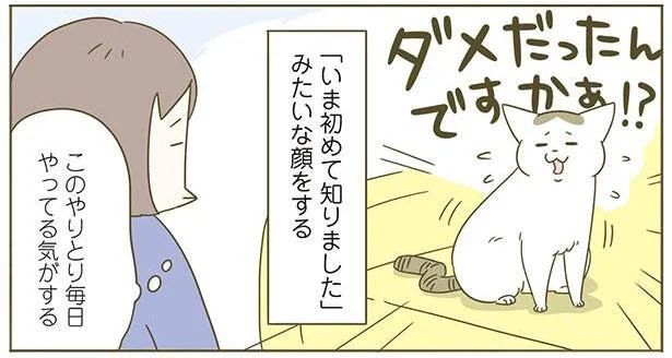 「いま初めて知りました」みたいな顔をする