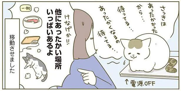 他にあったかい場所いっぱいあるよ