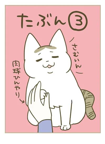 さむいん