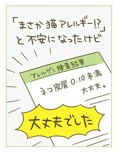 「まさか猫アレルギー！？」と不安になったけど大丈夫でした