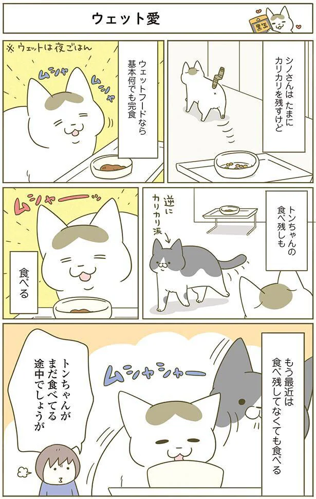 トンちゃんがまだ食べてる途中でしょうが