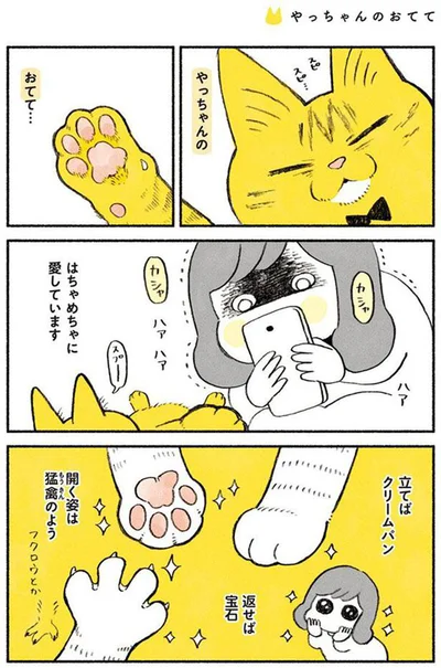 はちゃめちゃに愛してます