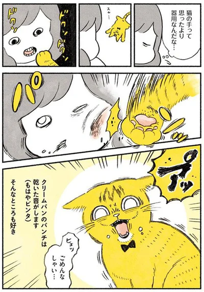 猫の手って思ったより器用なんだな…