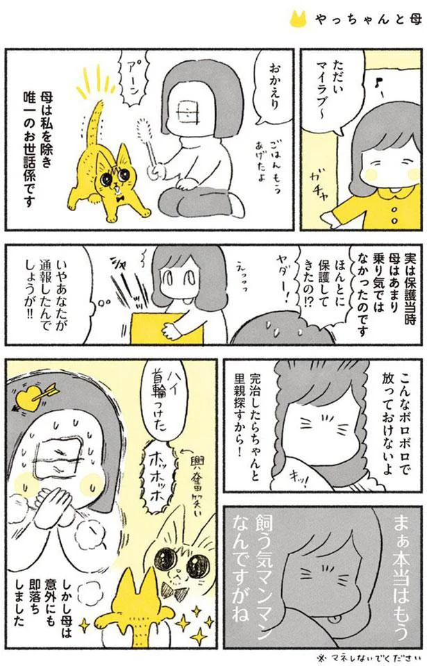 完治したらちゃんと里親探すから！