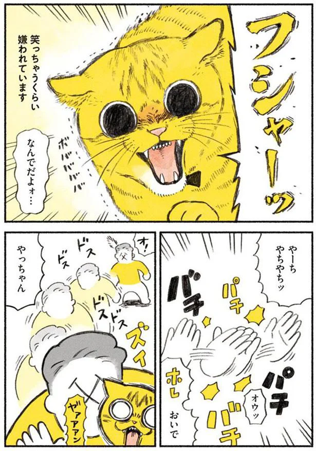 どうして…!? びっくりするほど猫に嫌われている父／茶トラのやっちゃん