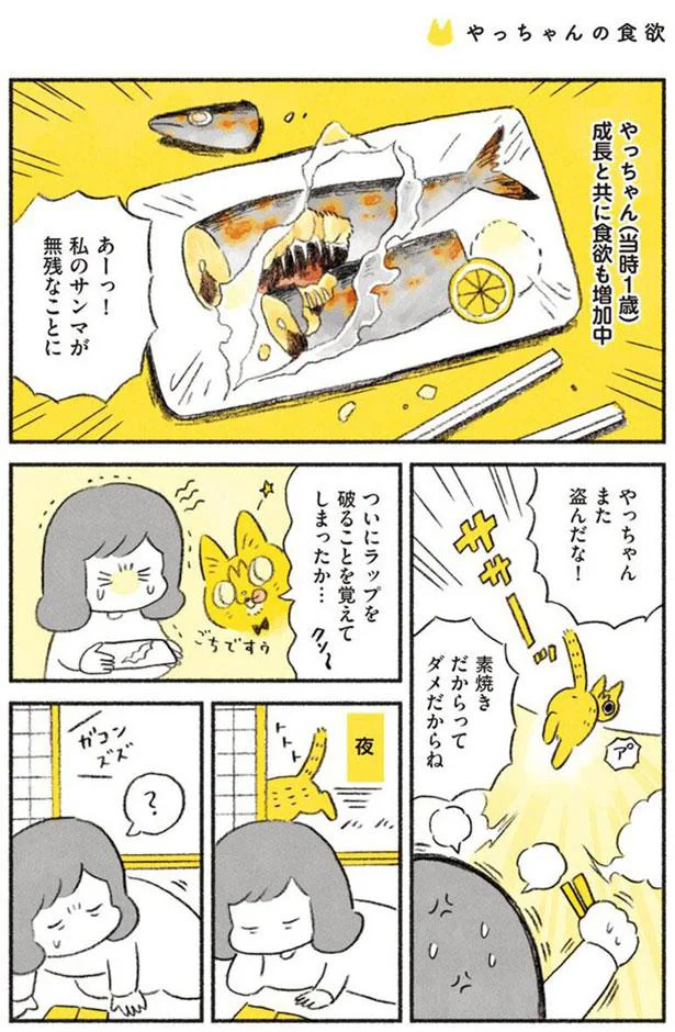 やっちゃん　また盗んだな！