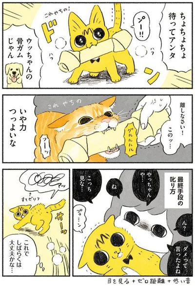 これでしばらくは大丈夫かな…