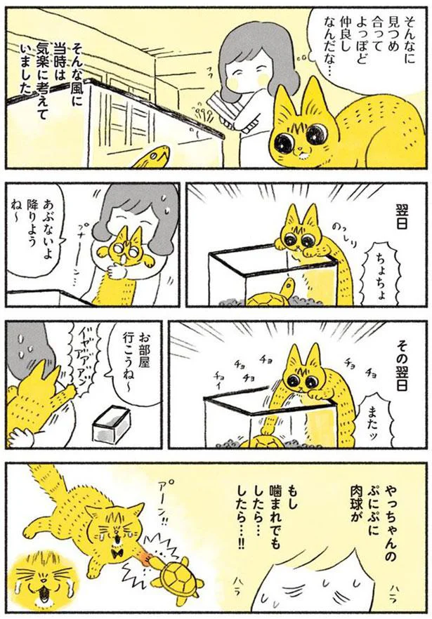 よっぽど仲良しなんだな…