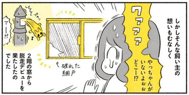 やっちゃんがいないよぉぉ どこー!?