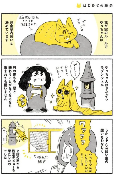 我が家のルールでやっちゃんは　完全室内飼いと決めています