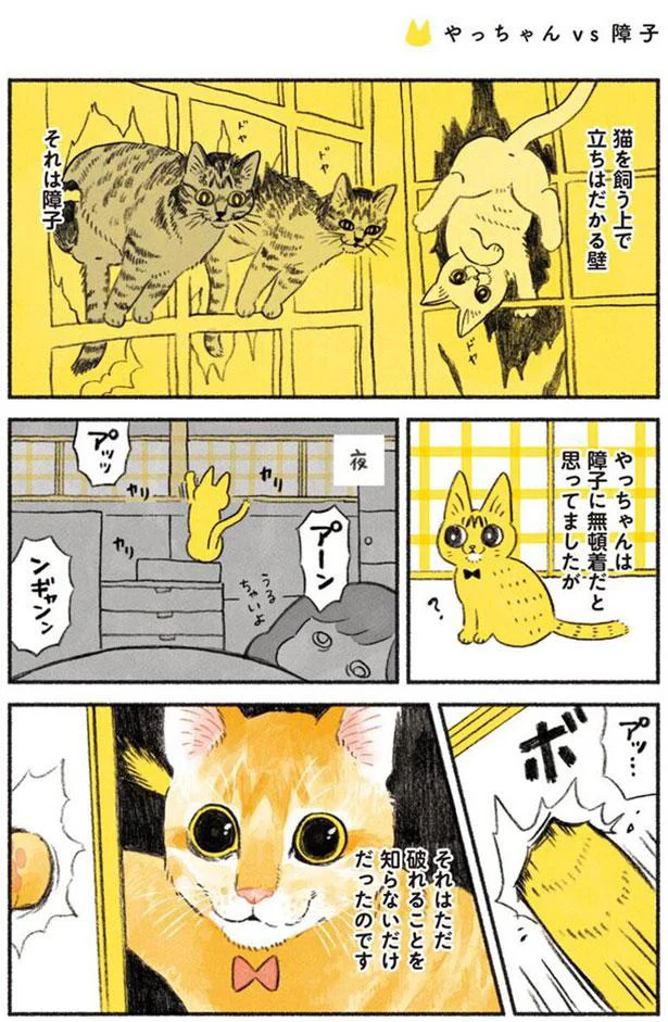 やっちゃんは障子に無頓着だと思ってましたが