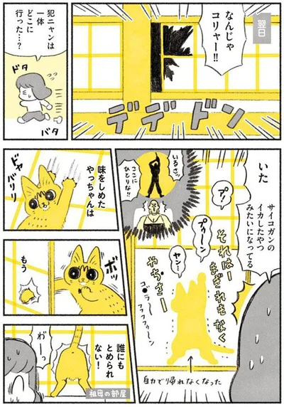 なんじゃコリャー！！