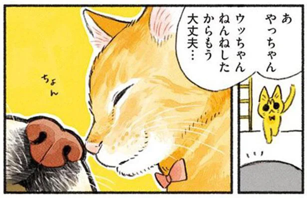 ウッちゃん ねんねしたからもう大丈夫…