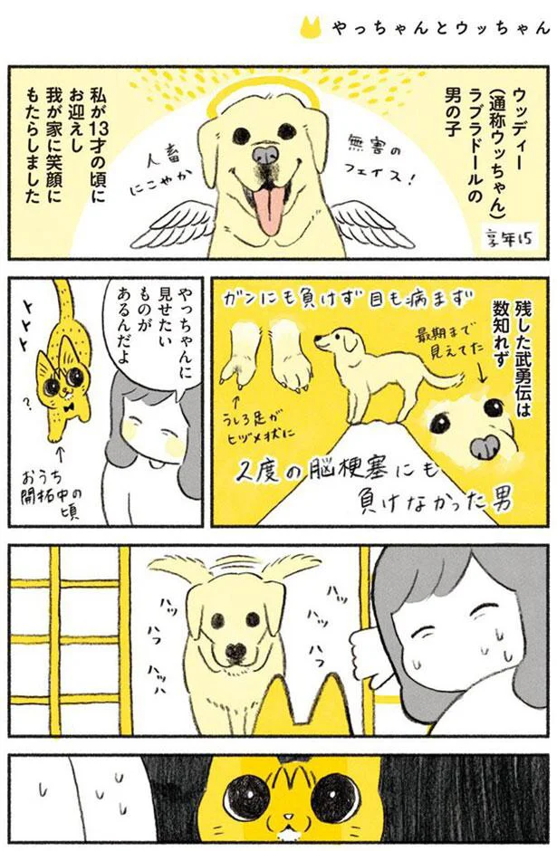 やっちゃんに見せたいものがあるんだよ