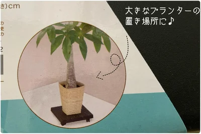 もちろんプランター用としても大活躍！