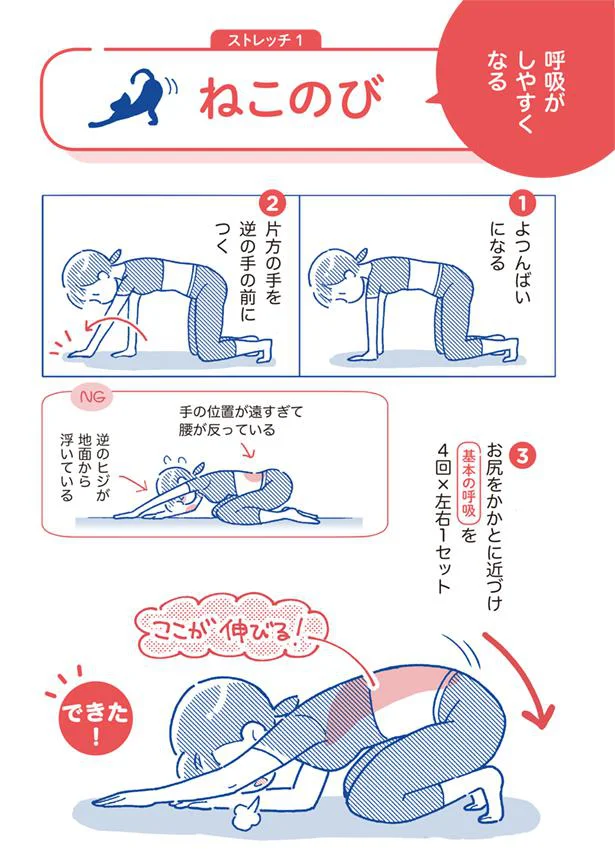 呼吸がしやすくなる「ねこのび」