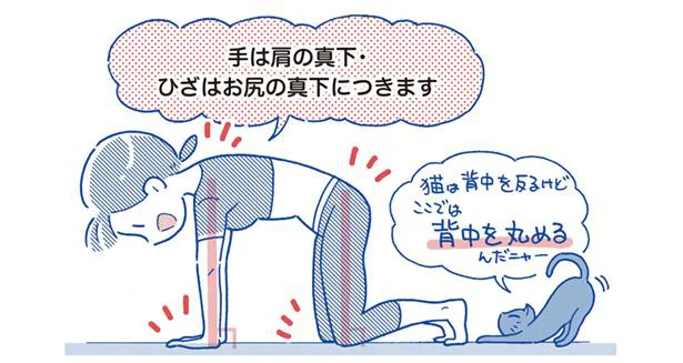 猫は背中を反るけど…