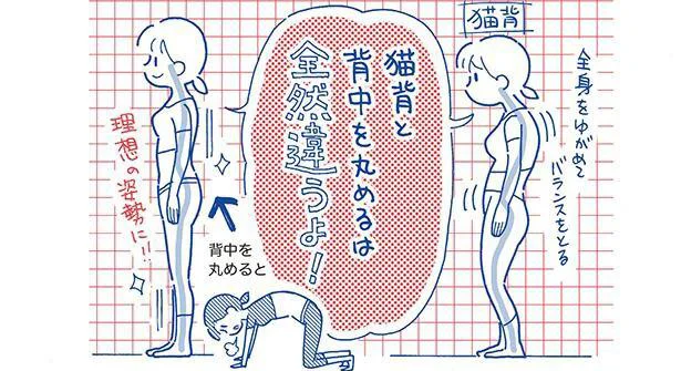 猫背と背中を丸めることは違う!? 背中を丸める「よつんまる」／1分やせストレッチ（3）