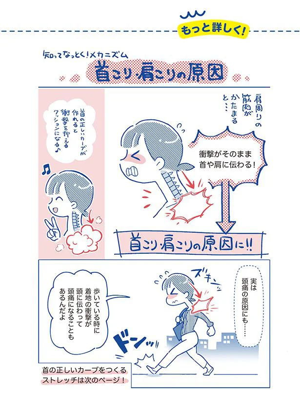 首こり・肩こりの原因って?