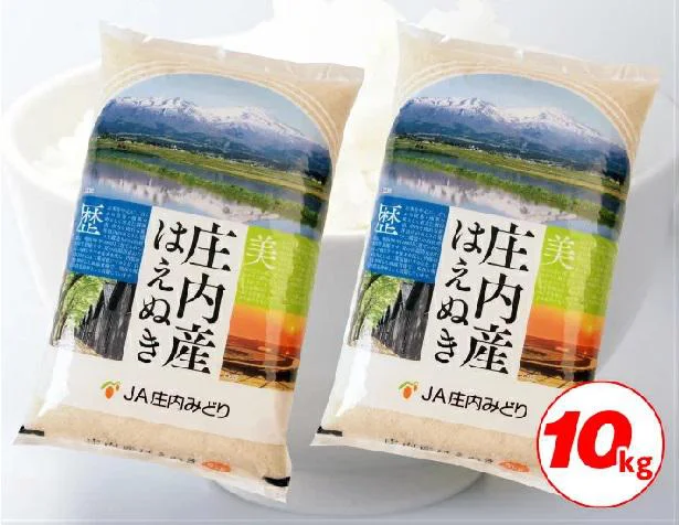  【山形県酒田市】はえぬき 5kg×2袋 計10kg 令和3年産米 山形県庄内産 ご希望の時期頃にお届け　10000円