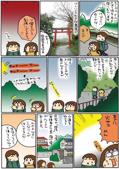 時々きいたことのない鳥のなき声が