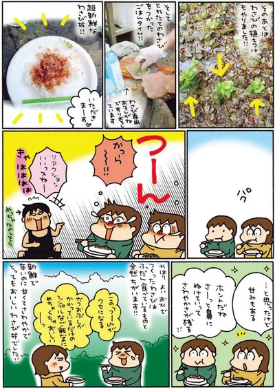 新鮮で辛いのに甘くてさわやかでとってもおいしいわさび丼