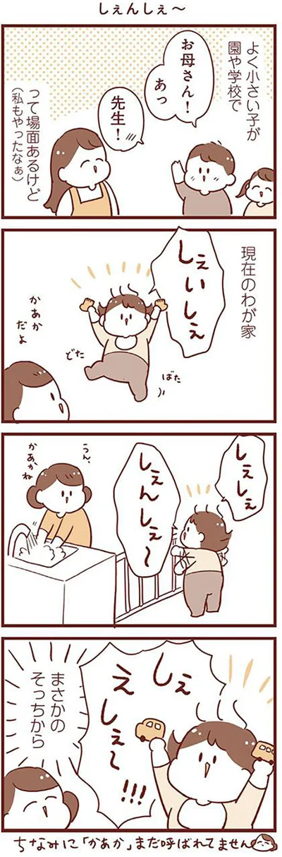しぇんしぇ～