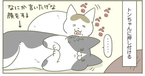 ごめんトンちゃん…!
