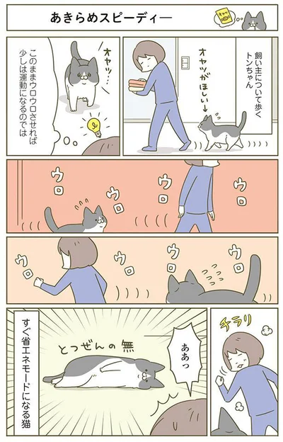 このままウロウロさせれば少しは運動になるのでは