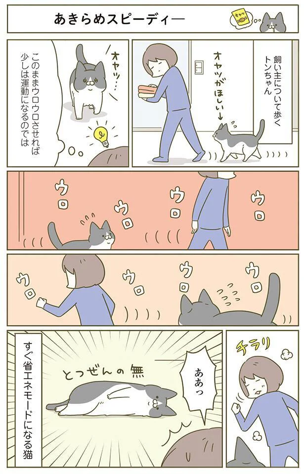 このままウロウロさせれば少しは運動になるのでは