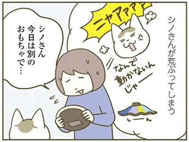 シノさん 今日は別のおもちゃで…