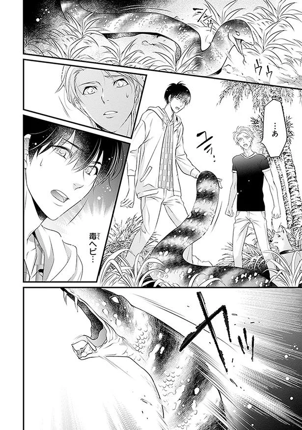 毒ヘビ…