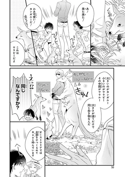 これはワラビーだよ