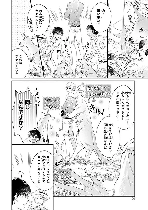 これはワラビーだよ
