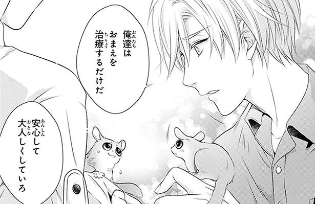 偶然見つけた双子の猿。ケガから救ったのは…家族の連携プレー!?／こはる日和とアニマルボイス3（10）