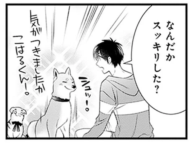 お留守番の動物たちと久々のハグ！ん？今までと何か違う…／こはる日和とアニマルボイス3（12）