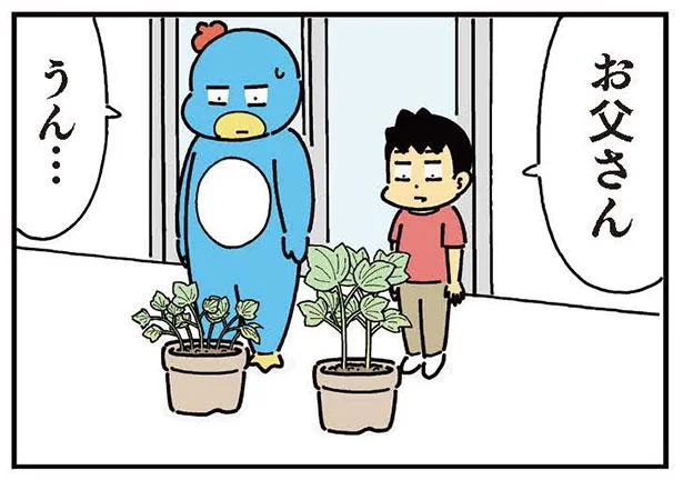 こんなにも変わるのか…日々息子から学ぶことは多いなと感じた家庭菜園／小学生男子は本日も晴天なり！（8）