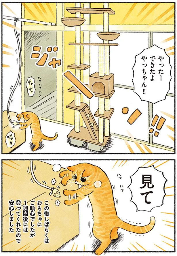 やったーできたよ！見て！！