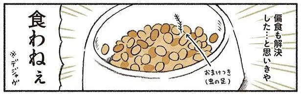 一口も食べてない…悩ましいカリカリ食べない問題／茶トラのやっちゃんとちーちゃん（5）