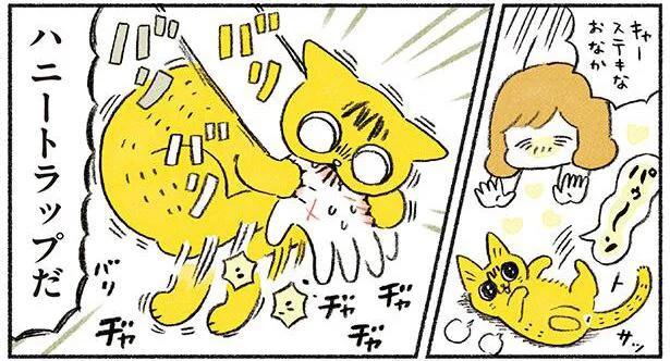 ハニートラップだ!!