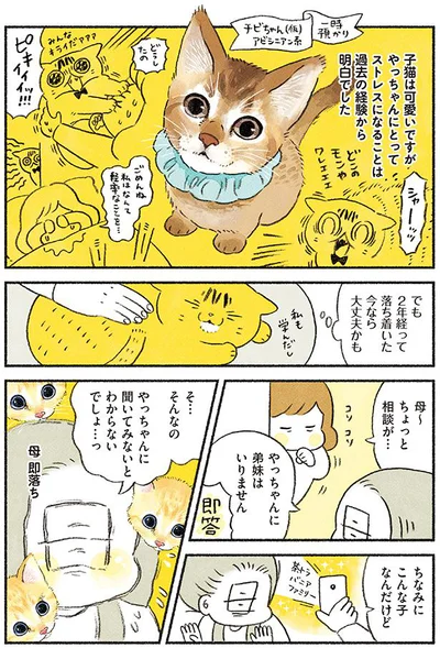 落ち着いた今なら大丈夫かも