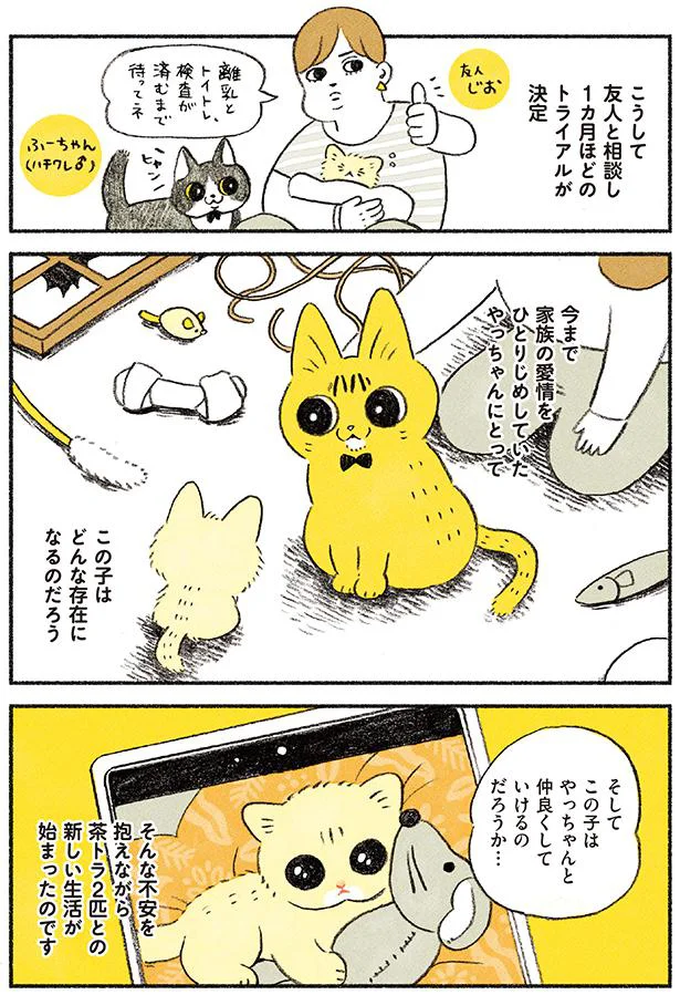 うまくやっていけるだろうか…