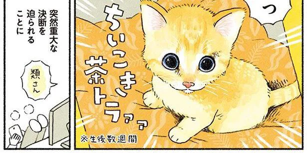 めっちゃ可愛い…!